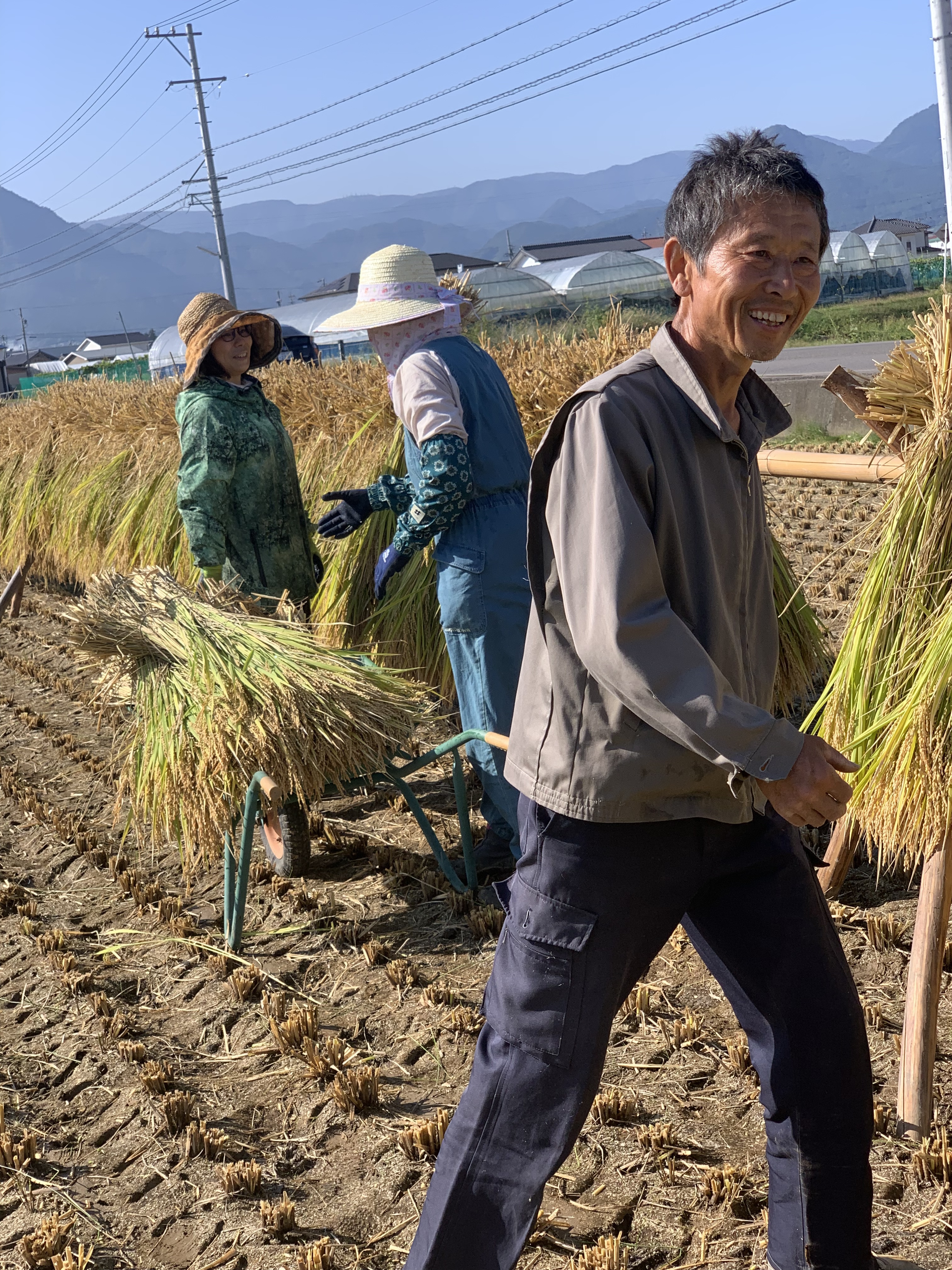 長野県信州産コシヒカリ はぜ掛け米20kg 自然乾燥 産地直送 天日干し