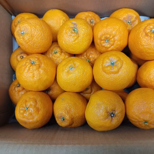 家庭用　Ａ・Ｂミックス　 Ｌ以下　箱込み4.5キロ