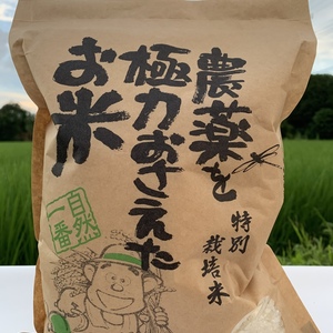 コシヒカリ•もち米セット（精米）