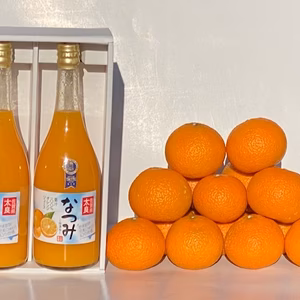 ★超特価　大人気★なつみ搾り２本　スイートスプリング♬♬（М～３Ｌミックス）詰合