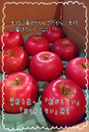 ☆サンふじ☆りんごの王様 12月初旬お届け♪