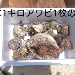 サザエつぼ焼きサイズ1/2キロとメガイアワビ約250g1/2枚のセット