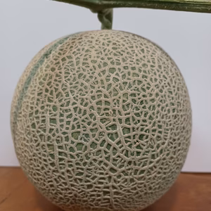 富良野メロン　1玉(2kg前後)