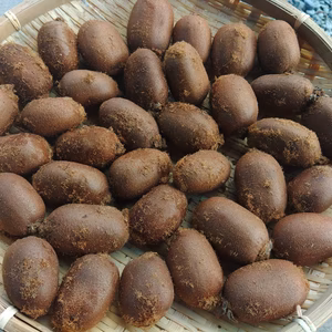 【数量限定】キウィフルーツ（1㎏）【加工用】