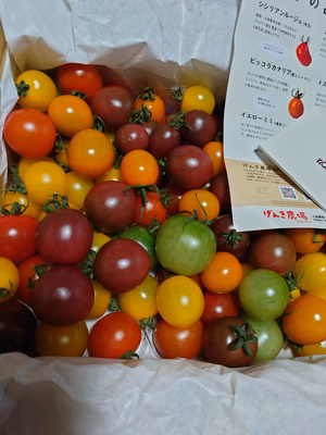 みんなの投稿の画像