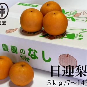 日迎梨・家庭用（林農園オリジナル品種）　約5kg(7～14玉)