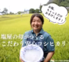 塩屋の母がつくる減農薬の安心コシヒカリ