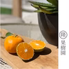 【小玉(３Ｓ・２Ｓ）秀優混合】和歌山有田産！早生みかん≪5㎏≫★11月下旬～発送