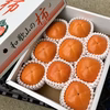 10月下旬以降発送　天空の村からお届け♩果肉の黒い柿【紀の川柿】