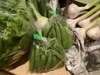 【旬の野菜8品セット】大山クロボク育ち【5～8種類】