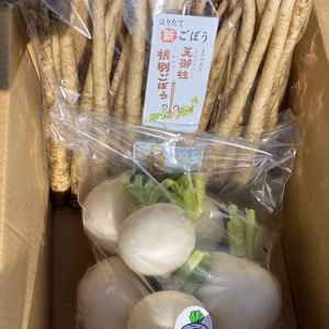 小蕪と新ごぼうのセット商品　オオゲツ姫(食の神様)の国からお届け