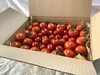 イスラエルの中玉トマト・ダルシモールと日本のミニトマトCF小鈴★計1.3kgバラ