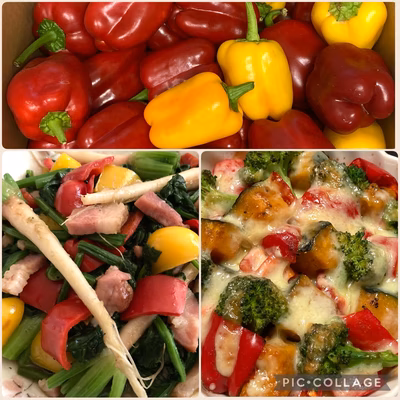 みんなの投稿の画像