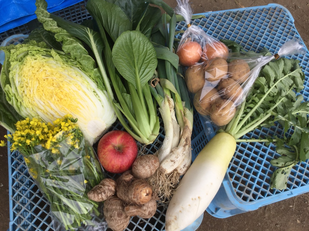 福島のおいしさお届けします お野菜定期便 農家漁師から産地直送の通販 ポケットマルシェ