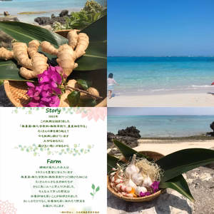 有機 星砂にんにく　有機　珊瑚しょうが　セット