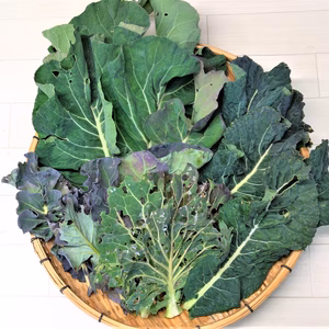 うさぎちゃん（野菜好きなペット達）の美味しいごはん（野菜）!