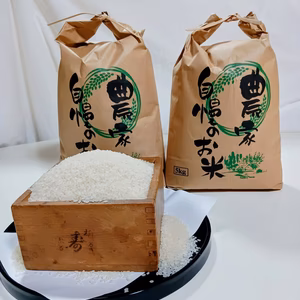 【数量限定】新潟県産コシヒカリ 令和7年度新米 白米 減農薬 自家消費用お裾分け