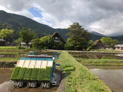 みんなの投稿の画像