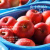 【ふじ/通常品】おかげ様で在庫わずか！1月3日～発送/ネオニコフリー/特栽