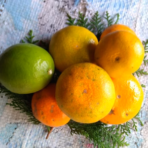 ❣️ラストセール❣️ジュース用極早生みかん 正味4キロ ❣️飲んでも食べても❣️