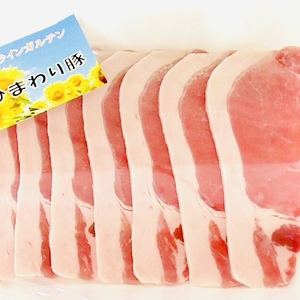 冬季限定❗️会津ひまわり豚〜ワイン搾り粕給与〜詰め合わせ