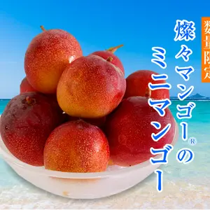 【希少】沖縄県産 燦々マンゴーのミニマンゴー