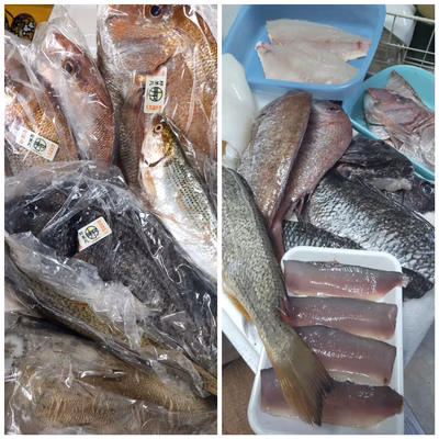 みんなの投稿の画像