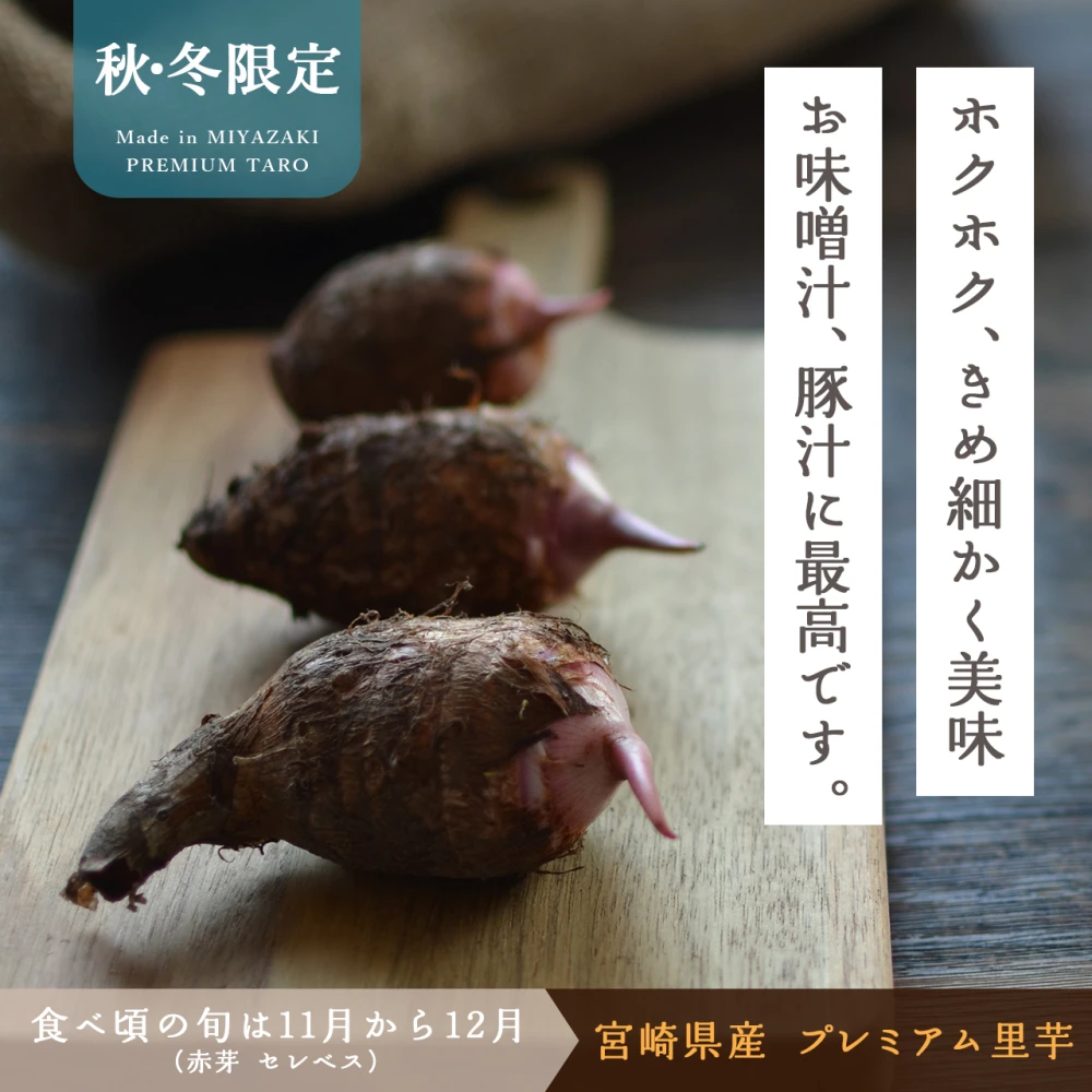 【おまけ付】宮崎産 里芋 赤芽芋 セレベス 2kg