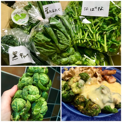 みんなの投稿の画像