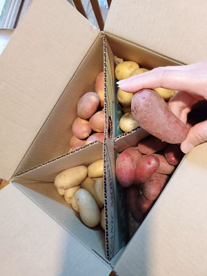 みんなの投稿の画像