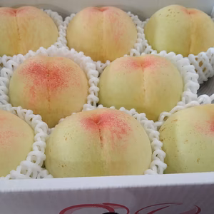 白桃　早生家庭用中箱　(品種はおまかせ❦)