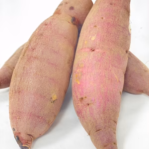 訳あり　小サイズ　紅はるか　詰め合わせ　約1.5kg 　農薬不使用