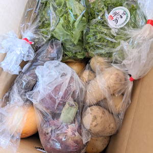 【限定】淡路島おまかせ野菜セット