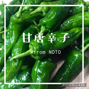 甘とうがらし 尽くし