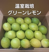 温室グリーンレモン５kg　　(大玉)