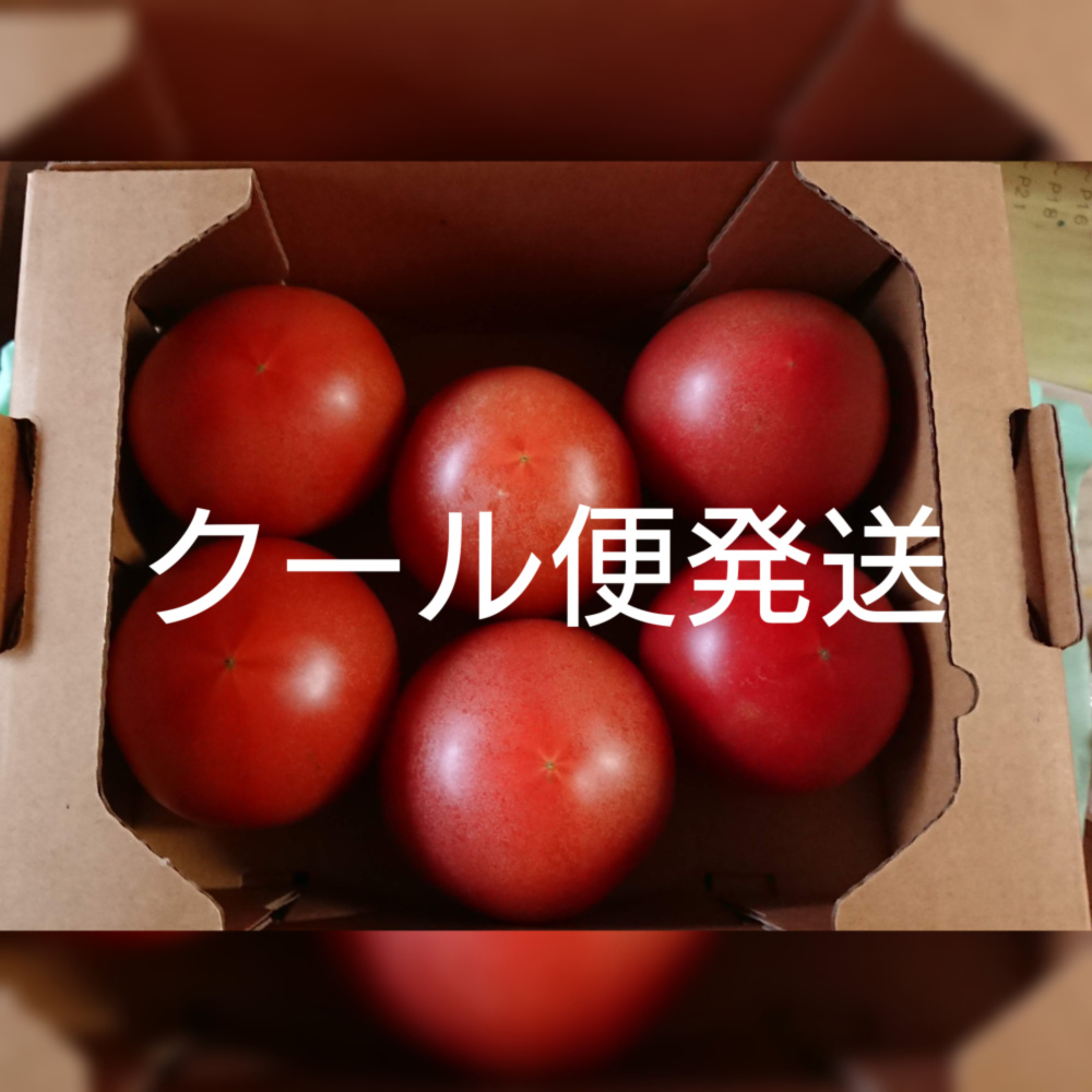 【クール便】ワケアリかもしれないトマト