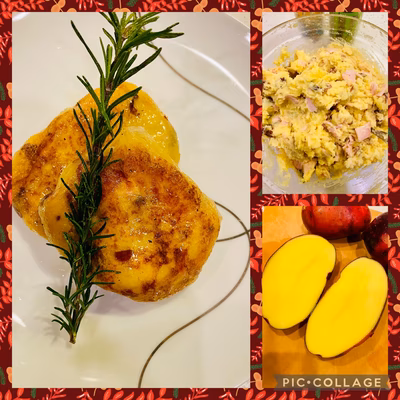 みんなの投稿の画像