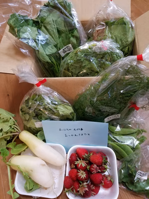 みんなの投稿の画像