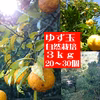 本場高知県産！ゆず玉3ｋｇ（20~30個・農薬：栽培期間中不使用）