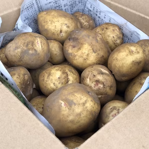 ～3kg～ホックホクきたあかりとほんのりあま～いアンデスレッド