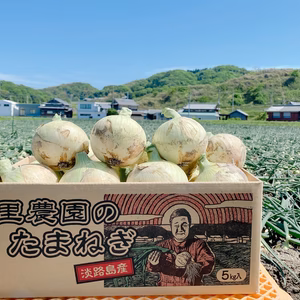 【九代目園主が育てた！】淡路島サラダたまねぎ