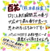 国産純粋百花蜂蜜  500ｇポリチューブ