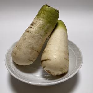 おろしそばに最適! 福井県産 辛味大根(品種名:ねずみ大根)  2kg
