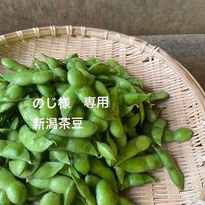 のじ様専用　新潟茶豆