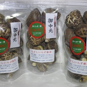 【夏ギフト】乾椎茸　水戻し不要（大分産肉厚どんこ１００ｇ入り３袋）7月発送