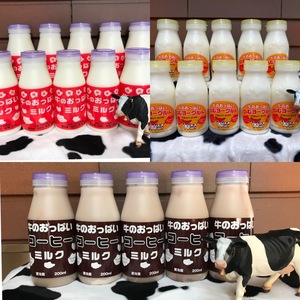 牛のおっぱいミルク10本、コーヒーミルク5本、のむヨーグルト10本