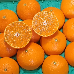 アマ・アマ糖度１４度以上紅プリンセス贈答用