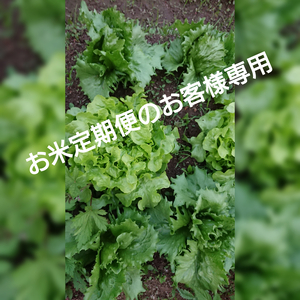 【お米定期便にくっつけて使う】一瞬一旬セット