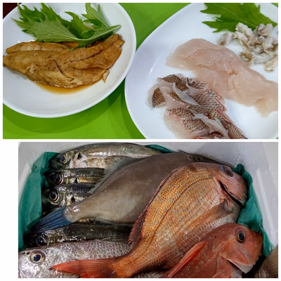 みんなの投稿の画像