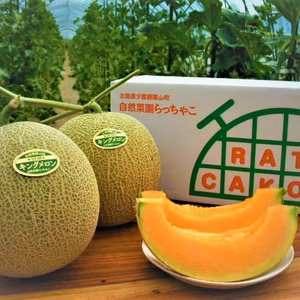 【農薬・化学肥料不使用】完熟キングメロン４～６玉 （7㎏～）【夏ギフト】